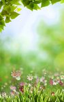 Spring Meadow Live Wallpaper image 1