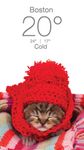 Captură de ecran Weather Kitty apk 1