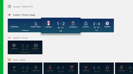 Ποδόσφαιρο Live στιγμιότυπο apk 7