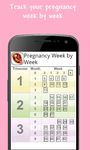 Pregnancy Week by Week Bild 3