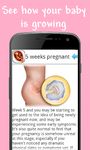 Pregnancy Week by Week image 4