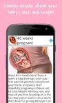 Pregnancy Week by Week Bild 2