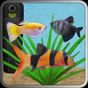 Иконка Aquarium Fish