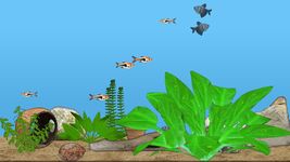 Скриншот 4 APK-версии Aquarium Fish