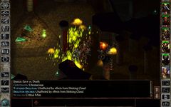 Icewind Dale: Enhanced Edition captura de pantalla apk 13