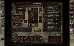 Icewind Dale: Enhanced Edition capture d'écran apk 10