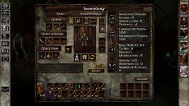 Icewind Dale: Enhanced Edition capture d'écran apk 13