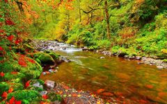 Gambar Nature Live Wallpapers 2