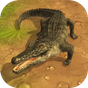 Crocodile Attack 3D Simulator APK