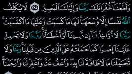 القرآن الكريم كامل بدون انترنت のスクリーンショットapk 4