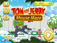 Captura de tela do apk Tom & Jerry: Labirinto do Rato 14