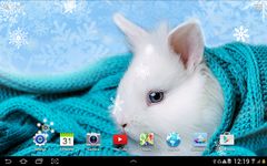 Cute Winter Wallpaper ekran görüntüsü APK 5