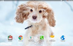 Cute Winter Wallpaper ekran görüntüsü APK 3