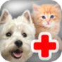 Дети Pet Vet Доктор