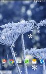 Captura de tela do apk Winter Wallpaper 