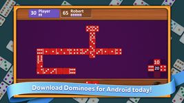 Dominoes image 11