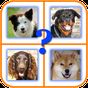 Good Dog APK