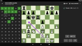 Tangkap skrin apk Chess Tactics Pro (Puzzles) 9