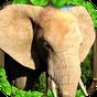 Elephant Simulator