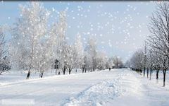 Captură de ecran Iarnă zăpadă Live Wallpaper HD apk 6