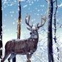 Winter Forest Live Wallpaper Simgesi