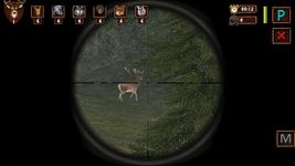 Картинка 7 World of Hunting