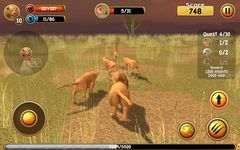 Wild Lion Simulator 3D afbeelding 7