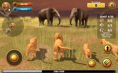Wild Lion Simulator 3D image 4