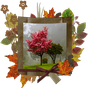 Autumn Photo Frames apk icon