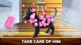 Daily Kitten : virtual cat pet image 11