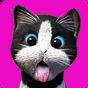 APK-иконка Daily Kitten : виртуальный кот