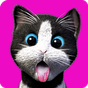 Daily Kitten : virtual cat pet apk icon