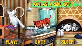 Gambar Cat Simulator 10