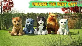 Gambar Cat Simulator 12