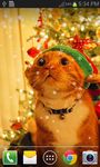 Christmas Cat Live Wallpaper screenshot apk 16