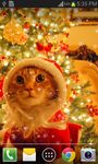 Christmas Cat Live Wallpaper screenshot apk 15