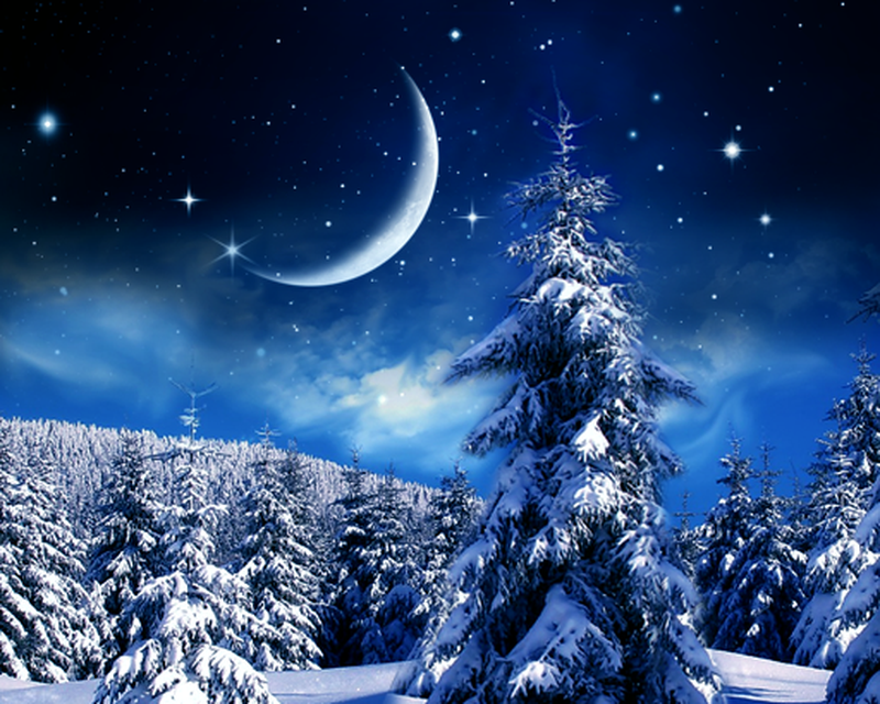 Winter Night Wallpaper Apk Free Download App For Android