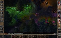 Baldur's Gate II captura de pantalla apk 14