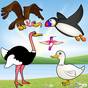 Birds Game for Toddlers Puzzle apk icon