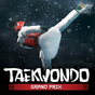 Taekwondo Game 아이콘
