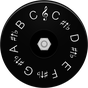 Realistic Pitch Pipe