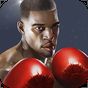 Εικονίδιο του Punch Boxing 3D
