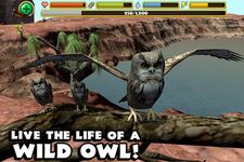 Tangkapan layar apk Owl Simulator 13