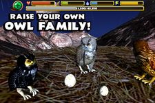 Tangkapan layar apk Owl Simulator 4