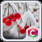 Snowy Cherry C launcher Theme APK