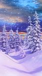 Winter und Weihnachten Bild 7