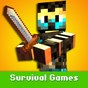 Иконка Survival Games