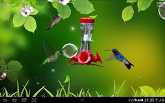 Captura de tela do apk Hummingbirds wallpaper 