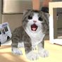 실제 고양이 시뮬레이터 - 프로의 apk 아이콘