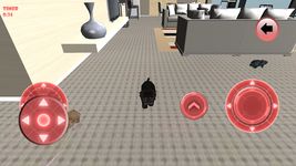 Imagem 7 do simulador Gato real